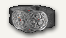 immortalkingbelt