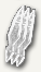 Warshrike